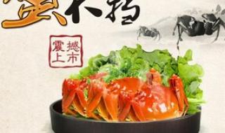 阳澄湖大闸蟹团购 阳澄湖大闸蟹团购