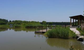 顺义汉石桥湿地公园门票多少元 北京汉石桥湿地公园