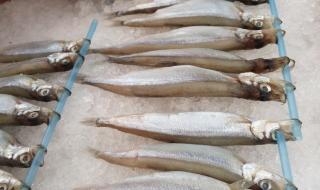 北海哪里吃海鲜便宜 北海哪里吃海鲜便宜