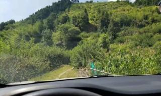 人生很贵,请别浪费的意思 人生很贵请别浪费